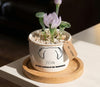 Personalized Dog Loss Gifts, "In Garden Of Memories" Planter, Pet Memorial, Custom Design & Birth Month Flower