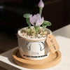 Personalized Dog Loss Gifts, "Best Friend In Heaven" Planter, Pet Memorial, Custom Design & Birth Month Flower