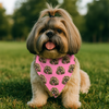 Multi Pattern Bandana Collar, Personalized Bandana Collar, Custom Gifts For Dog
