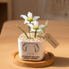 Personalized Dog Loss Gifts, "My Favorite Hello" Planter, Pet Memorial, Custom Design & Birth Month Flower