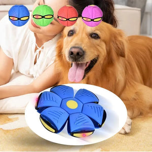 Interactive UFO Saucer Dog Toy, Pet Accessories