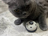 Pet Toys Bell for Dogs Cat Training Interactive Toy, Pet Accessories