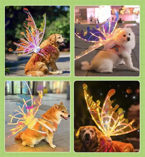 Elf Wings Fairy Wings Costume Accessory, Magical Costume Wings For Dog, Halloween Dog Costume