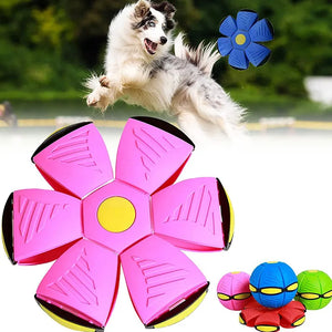 Interactive UFO Saucer Dog Toy, Pet Accessories