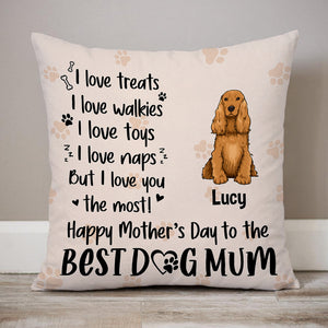 I Love Treats I Love Walkies, Personalized Pillow, Custom Gifts For Dog Lovers