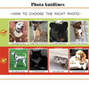 Custom Pet Photo Pillow, Personalized 3D Photo Face Pillow, Personalized Pillow, Gift For Pet Lovers