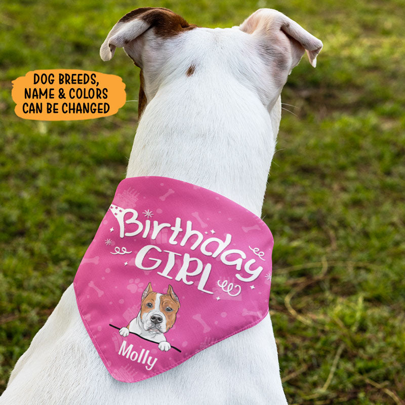 Birthday Girl Birthday Boy, Personalized Bandana, Custom Gifts For Dog