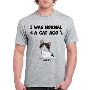 I Was Normal 3 Cats Ago, Custom Shirt, Personalized Gifts for Cat Lovers