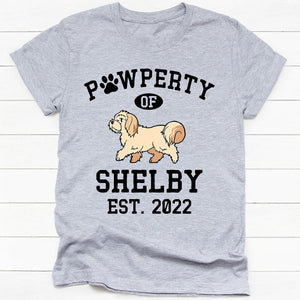 Pawperty Of Maltese, Personalized Shirt, Custom Gifts For Dog Lovers
