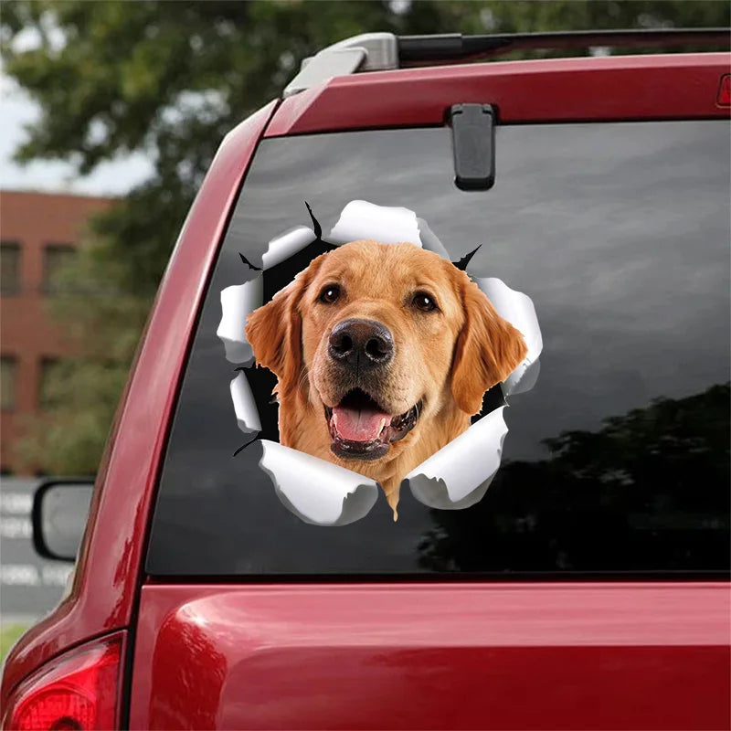 3D Dog Car Sticker Waterproof Cat Car Sticker Toilet Sticker Wall Stickers Removable Art Decals Sticker Home Decor Dropshipping