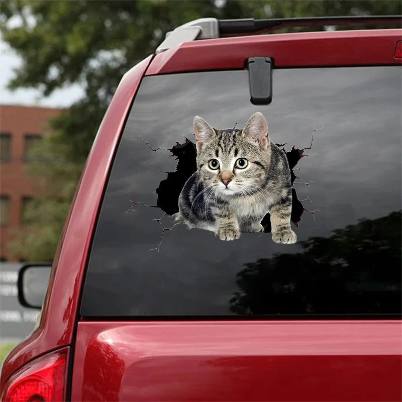 3D Dog Car Sticker Waterproof Cat Car Sticker Toilet Sticker Wall Stickers Removable Art Decals Sticker Home Decor Dropshipping