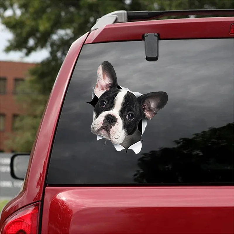 3D Dog Car Sticker Waterproof Cat Car Sticker Toilet Sticker Wall Stickers Removable Art Decals Sticker Home Decor Dropshipping