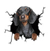 3D Dog Car Sticker Waterproof Cat Car Sticker Toilet Sticker Wall Stickers Removable Art Decals Sticker Home Decor Dropshipping