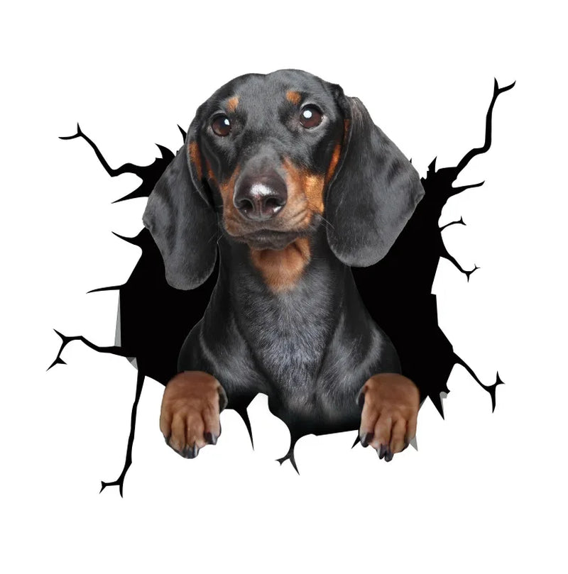 3D Dog Car Sticker Waterproof Cat Car Sticker Toilet Sticker Wall Stickers Removable Art Decals Sticker Home Decor Dropshipping