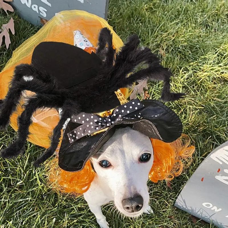 Spider Costume For Dogs Cosplay Outfit Props Halloween Dress Up Clothes Halloween Party Costume Dress Up Props For Cats Puppies