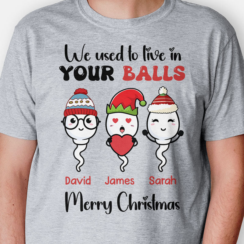 We Used To Live In Your Balls, Personalized Shirt, Christmas Gifts For Dad
