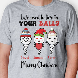 We Used To Live In Your Balls, Personalized Shirt, Christmas Gifts For Dad