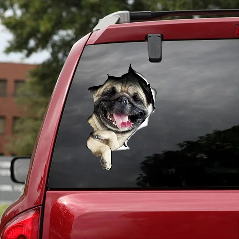 3D Dog Car Sticker Waterproof Cat Car Sticker Toilet Sticker Wall Stickers Removable Art Decals Sticker Home Decor Dropshipping