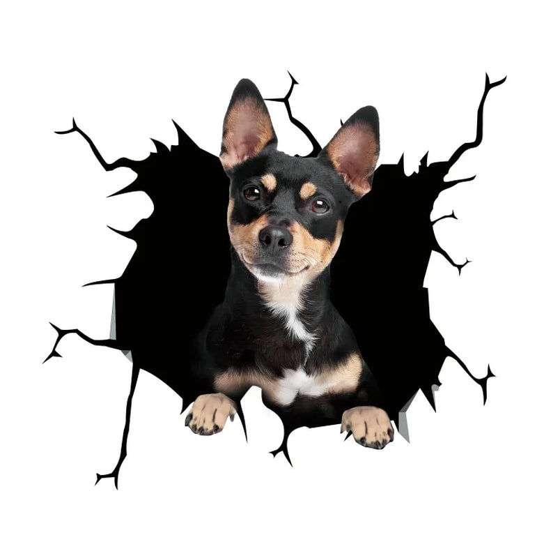 3D Dog Car Sticker Waterproof Cat Car Sticker Toilet Sticker Wall Stickers Removable Art Decals Sticker Home Decor Dropshipping