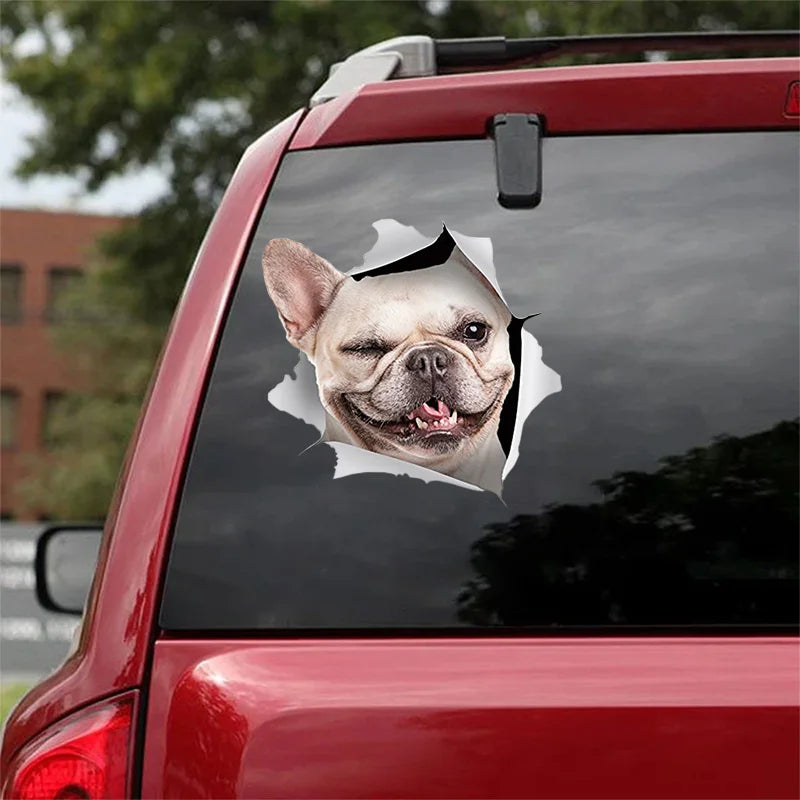 3D Dog Car Sticker Waterproof Cat Car Sticker Toilet Sticker Wall Stickers Removable Art Decals Sticker Home Decor Dropshipping