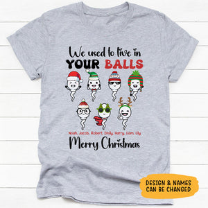 We Used To Live In Your Balls, Personalized Shirt, Christmas Gifts For Dad
