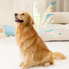 Electric Butterfly Wings Luminous Toy Butterfly Back Flower Fairy pet accessories, Halloween Costume for Dogs