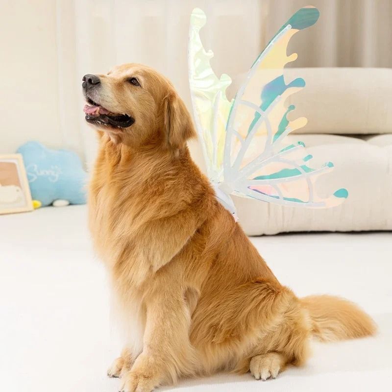 Electric Butterfly Wings Luminous Toy Butterfly Back Flower Fairy pet accessories, Halloween Costume for Dogs