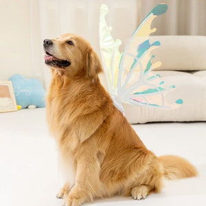 Electric Butterfly Wings Luminous Toy Butterfly Back Flower Fairy pet accessories, Halloween Costume for Dogs