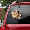 3D Dog Car Sticker Waterproof Cat Car Sticker Toilet Sticker Wall Stickers Removable Art Decals Sticker Home Decor Dropshipping