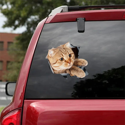 3D Dog Car Sticker Waterproof Cat Car Sticker Toilet Sticker Wall Stickers Removable Art Decals Sticker Home Decor Dropshipping