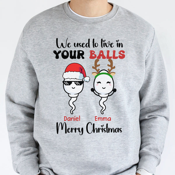 We Used To Live In Your Balls, Personalized Shirt, Christmas Gifts For ...