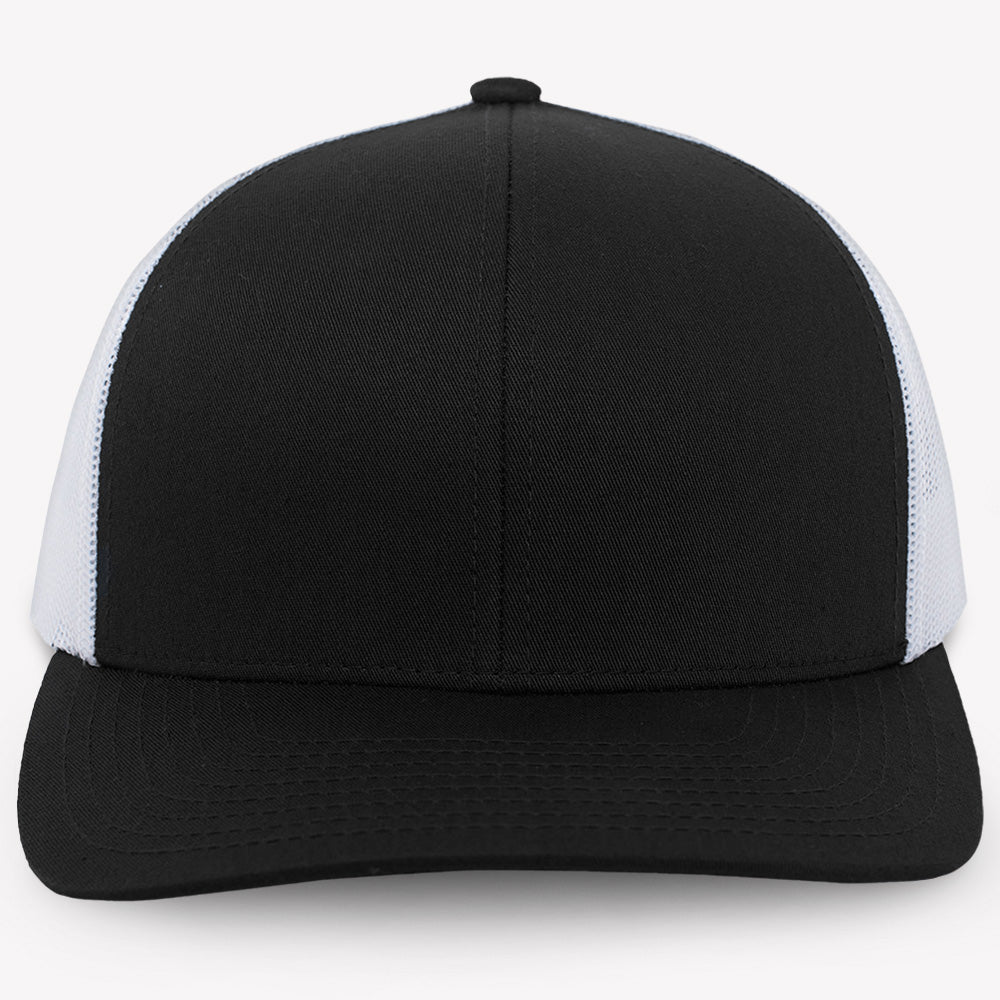 Dog Dad Hat, Leather Patch Hat, Gift For Dog Dad