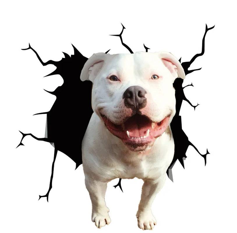 3D Dog Car Sticker Waterproof Cat Car Sticker Toilet Sticker Wall Stickers Removable Art Decals Sticker Home Decor Dropshipping