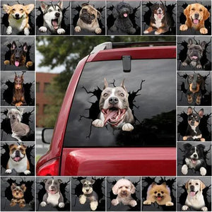 3D Dog Car Sticker Waterproof Cat Car Sticker Toilet Sticker Wall Stickers Removable Art Decals Sticker Home Decor Dropshipping