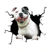 3D Dog Car Sticker Waterproof Cat Car Sticker Toilet Sticker Wall Stickers Removable Art Decals Sticker Home Decor Dropshipping