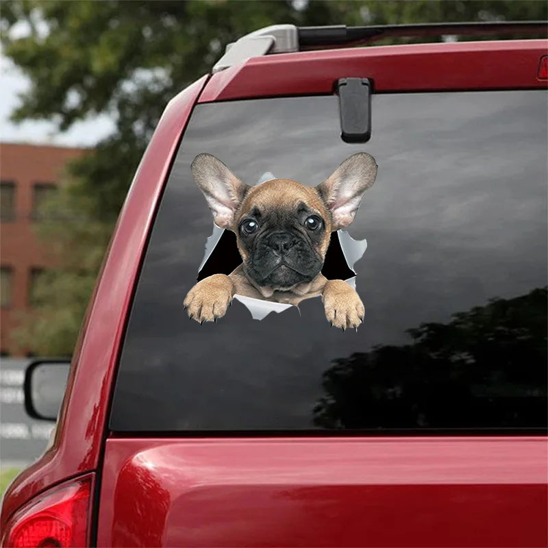 3D Dog Car Sticker Waterproof Cat Car Sticker Toilet Sticker Wall Stickers Removable Art Decals Sticker Home Decor Dropshipping