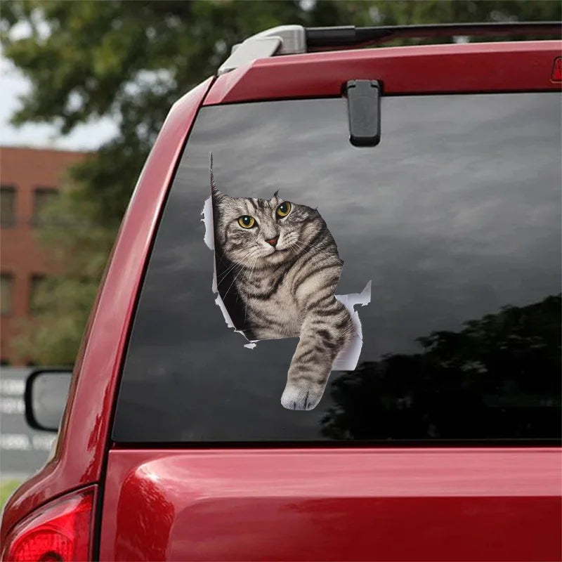 3D Dog Car Sticker Waterproof Cat Car Sticker Toilet Sticker Wall Stickers Removable Art Decals Sticker Home Decor Dropshipping