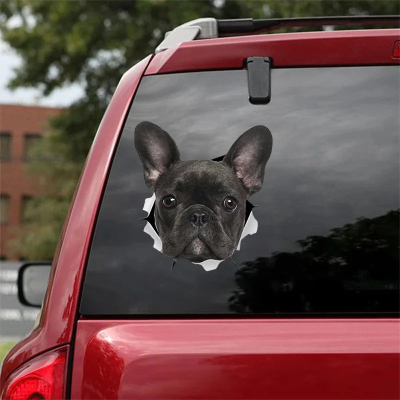 3D Dog Car Sticker Waterproof Cat Car Sticker Toilet Sticker Wall Stickers Removable Art Decals Sticker Home Decor Dropshipping