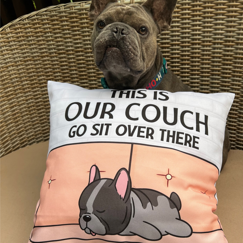https://personalfury.com/cdn/shop/files/6176-our-couch-pillow_1200x.png?v=1703059318