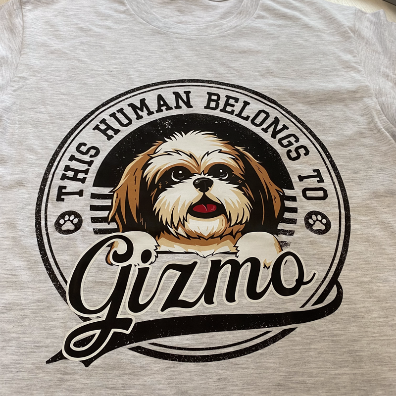 This Human Belongs To Dog, Personalized Shirt, Custom Gift For Dog This Human Belongs To Dog, Personalized Shirt, Custom Gift For Dog