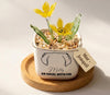 Personalized Dog Loss Gifts, "An Angel With Fur" Planter, Pet Memorial, Custom Design & Birth Month Flower