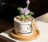 Personalized Dog Loss Gifts, "In Heaven" Planter, Pet Memorial, Custom Design & Birth Month Flower