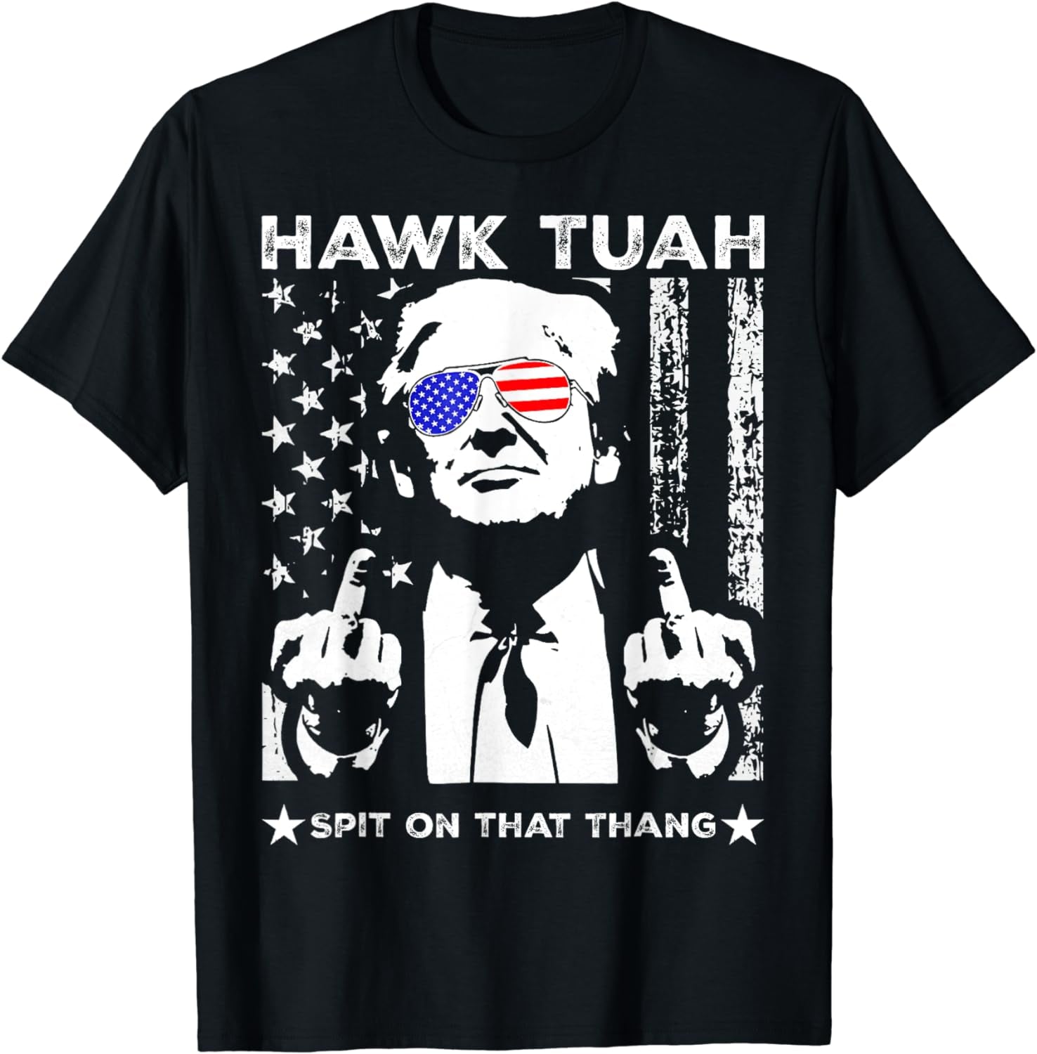 Hawk Tuah Spit On That Thang 2024, Election 2024 Shirt, Parody T-Shirt