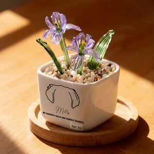 Personalized Dog Loss Gifts, "My Favorite Hello" Planter, Pet Memorial, Custom Design & Birth Month Flower