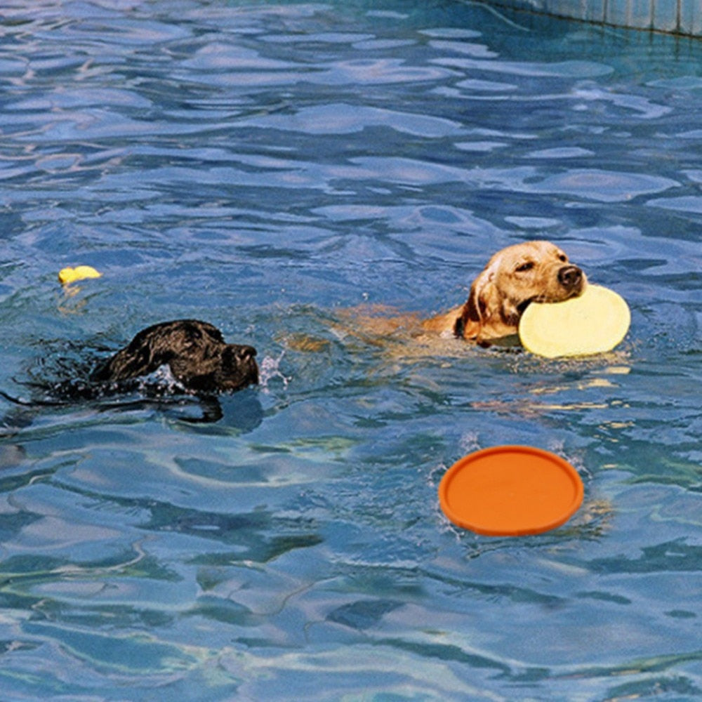 Interactive Dog Flying Discs For Training, Pet Accessories