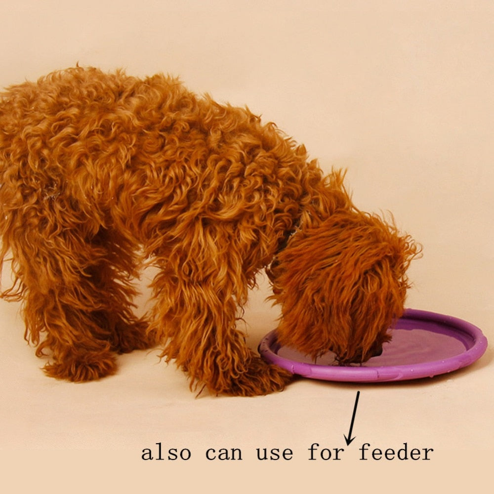 Interactive Dog Flying Discs For Training, Pet Accessories