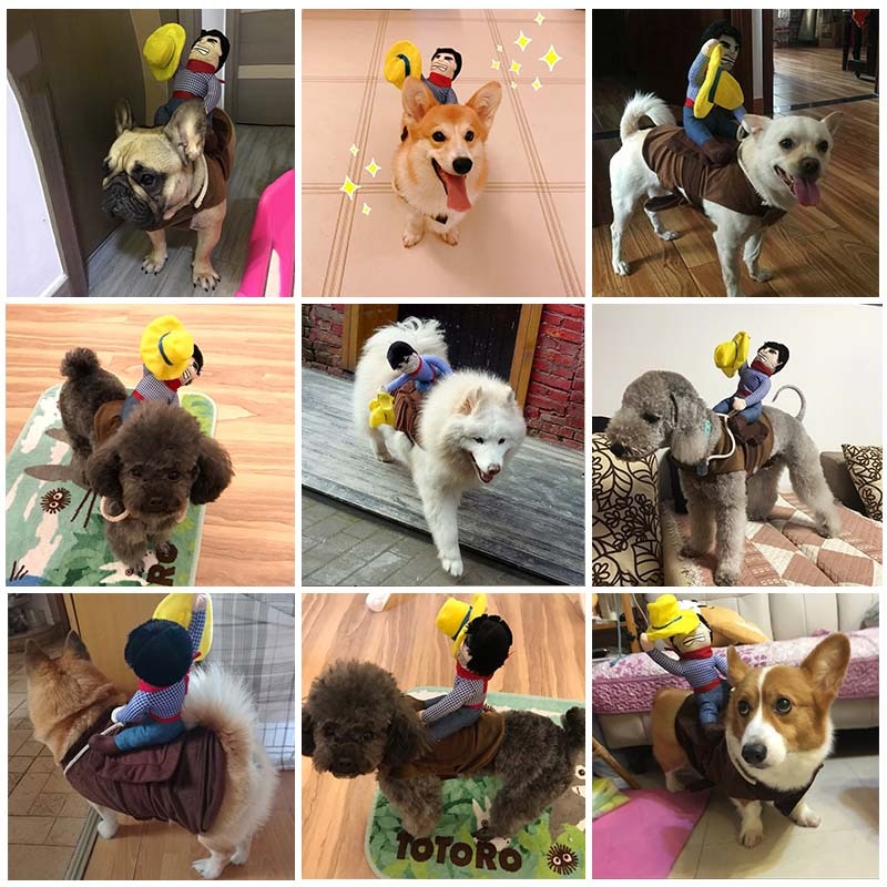 Novelty Cowboy Rider Dog Costume for Dogs Halloween Pet Costume, Pet Accessories