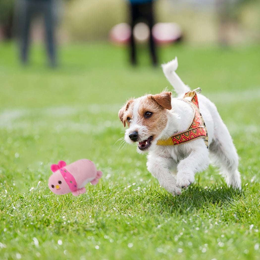 Soft and Durable Dog Toys with Squeaky Bone Design, Pet Accessories