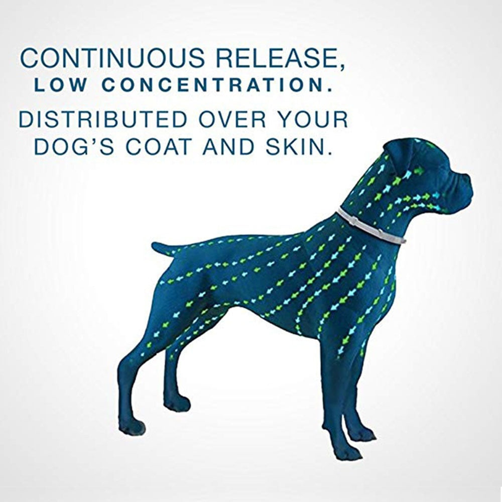 Flea Tick Prevention Collar For Dog