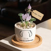 Personalized Dog Loss Gifts, "My Favorite Hello" Planter, Pet Memorial, Custom Design & Birth Month Flower